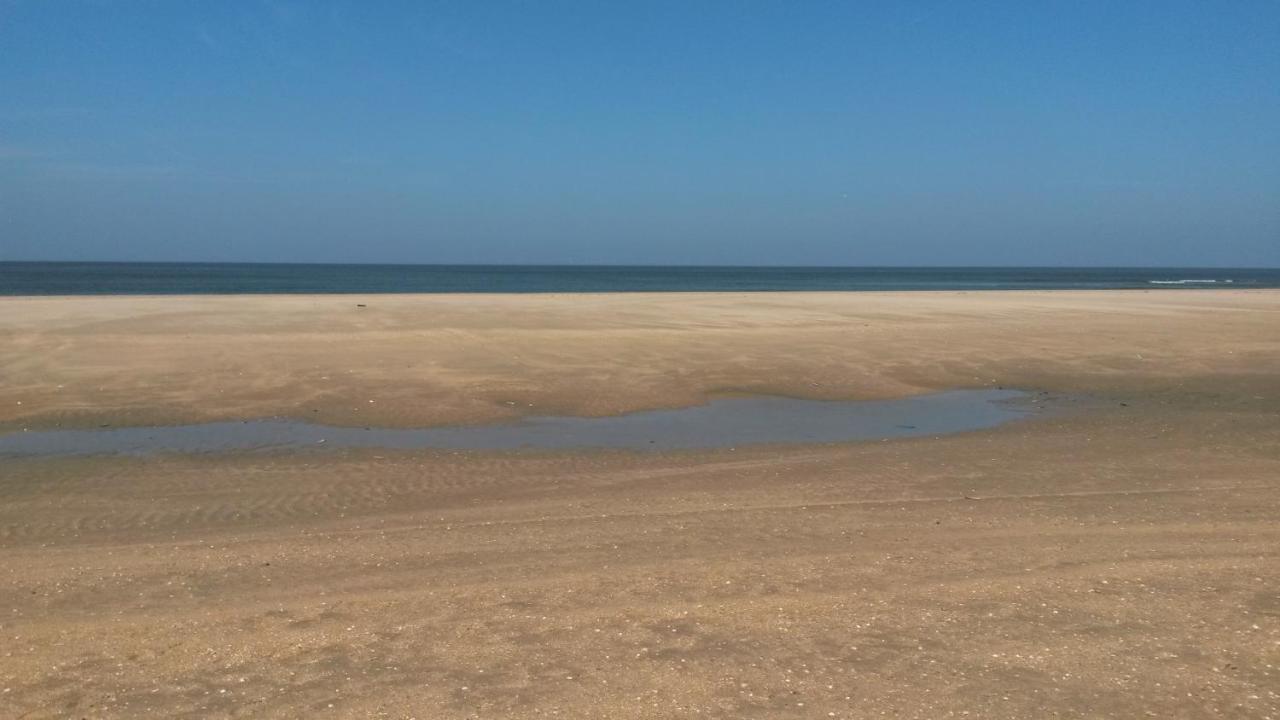 Vitamin Sea Heemskerk Exterior photo